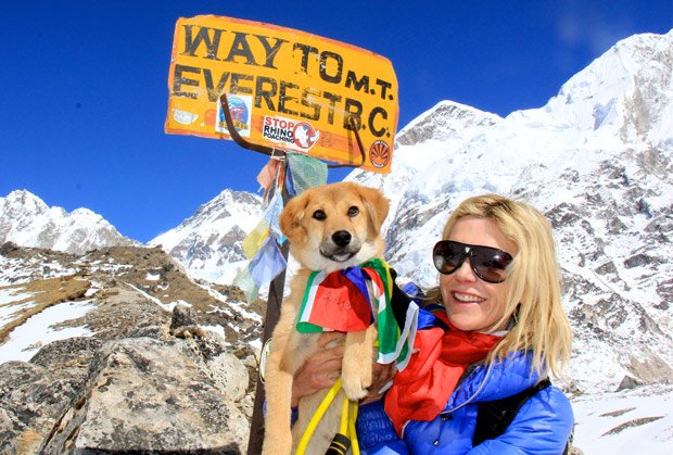 Αυτός είναι ο πρώτος σκύλος που ανέβηκε στο Eβερεστ – Η ιδιοκτήτριά του τον έσωσε από τα σκουπίδια [εικόνες] | iefimerida.gr 2
