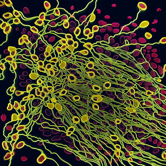 «Ψίθυροι»: Στο μουσείο Σύγχρονης Τέχνης Κρήτης [εικόνες]  | iefimerida.gr 9