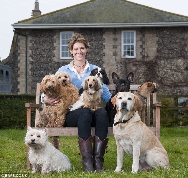 Oι εγγλέζοι είναι τρελοί: Ενας πύργος ειδικά για σκύλους[φωτό+βίντεο] | iefimerida.gr 0