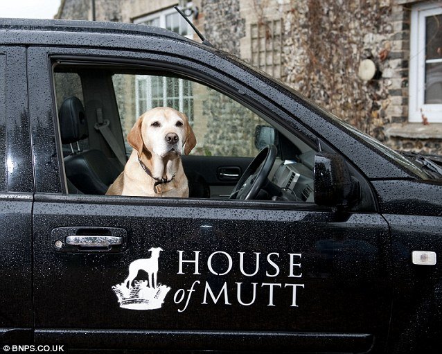 Oι εγγλέζοι είναι τρελοί: Ενας πύργος ειδικά για σκύλους[φωτό+βίντεο] | iefimerida.gr 1