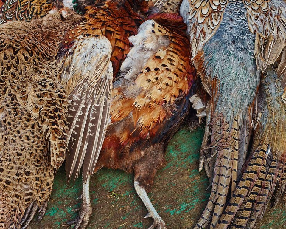 Δες τον κόσμο όπως οι πλούσιοι του 1% [εικόνες] | iefimerida.gr 13