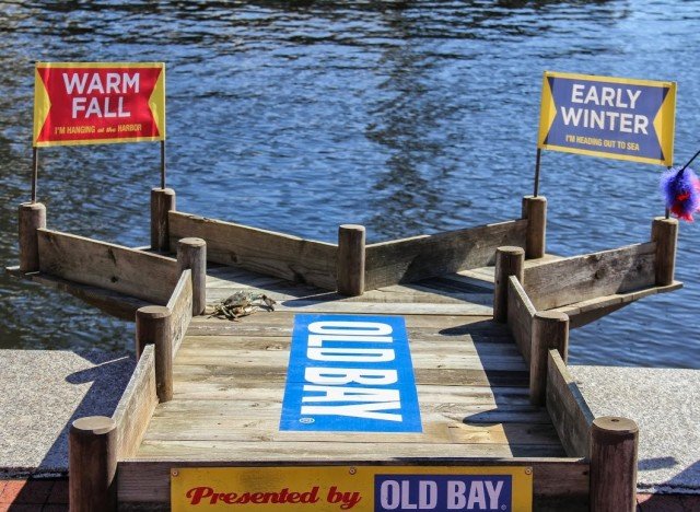 Κάβουρας που προβλέπει τον καιρό έχει γίνει η νέα μασκότ της Βαλτιμόρης [εικόνα] | iefimerida.gr 1