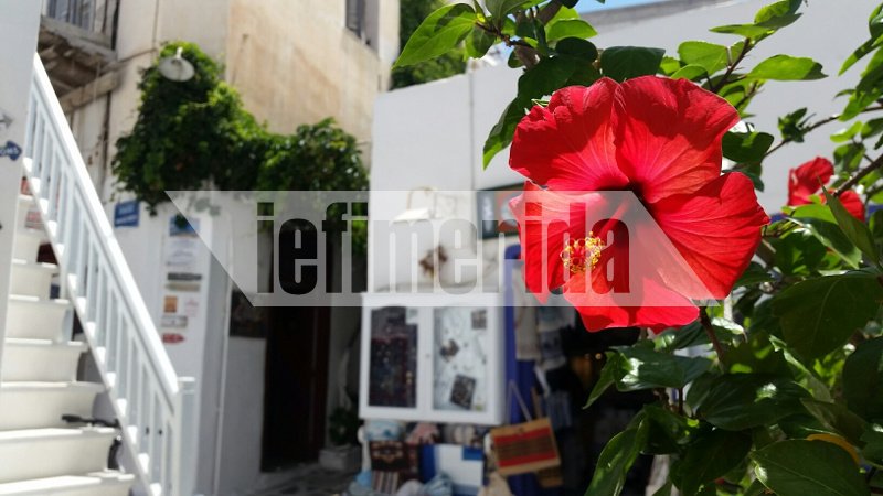 Γιατί η Νάξος προσελκύει τους Ελληνες τουρίστες -Πώς στο νησί κρατούν χαμηλά τις τιμές [εικόνες] | iefimerida.gr 1