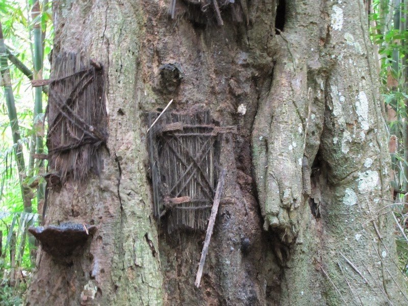 Νεκρά βρέφη σε κουφάλες δέντρων και ζόμπι που περιφέρονται στο χωριό - Ενα παράξενο θρησκευτικό έθιμο [εικόνες]  | iefimerida.gr 11