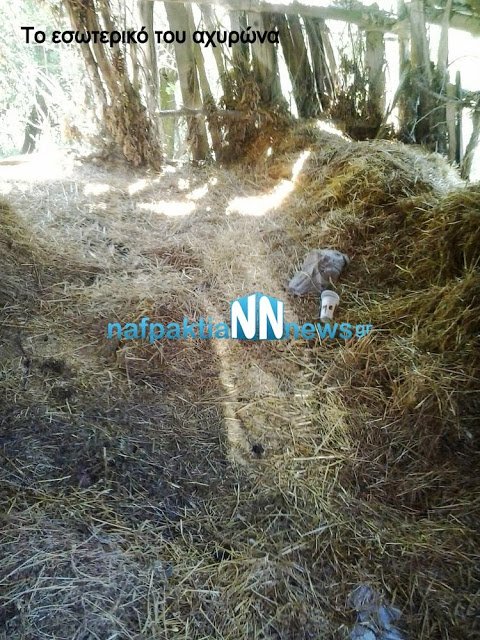 Ποιες κρυψώνες-καταφύγια χρησιμοποιούν οι δραπέτες των φυλακών Τρικάλων -Πως ξεφεύγουν από την ΕΛ.ΑΣ [εικόνες] | iefimerida.gr 2