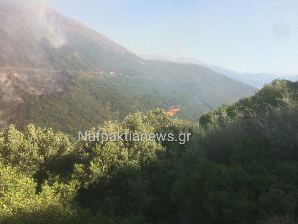Σε εξέλιξη φωτιά στο Μολύκρειο Ναυπακτίας | iefimerida.gr 0
