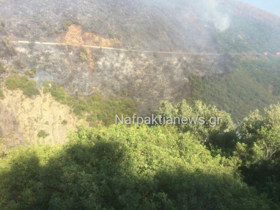 Σε εξέλιξη φωτιά στο Μολύκρειο Ναυπακτίας | iefimerida.gr 1