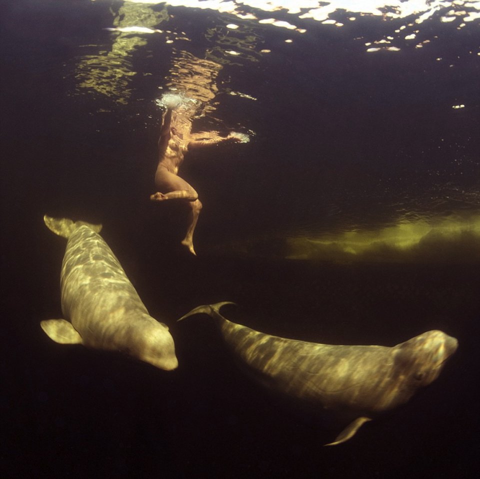 Γυμνή Ρωσίδα παίζει με τις φάλαινες στα παγωμένα νερά της Ανταρκτικής [εικόνα] | iefimerida.gr 2