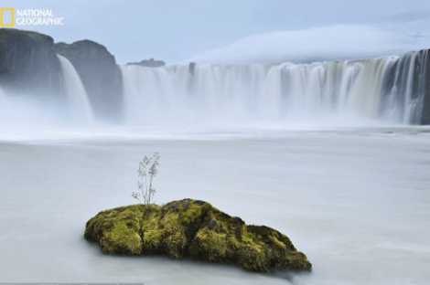Οι κορυφαίες των κορυφαίων -Οι καλύτερες φωτογραφίες που έχουν δημοσιευθεί στο National Geographic τα τελευταία  125 χρόνια [εικόνες] | iefimerida.gr 10