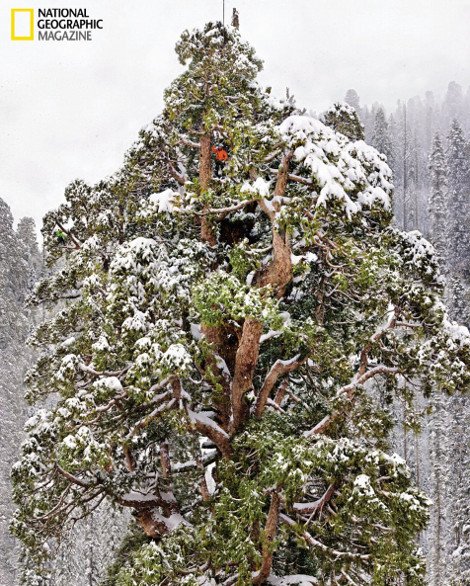 Η ζωή στον κόσμο το 2012 μέσα από το φακό του National Geographic [εικόνες] | iefimerida.gr 0