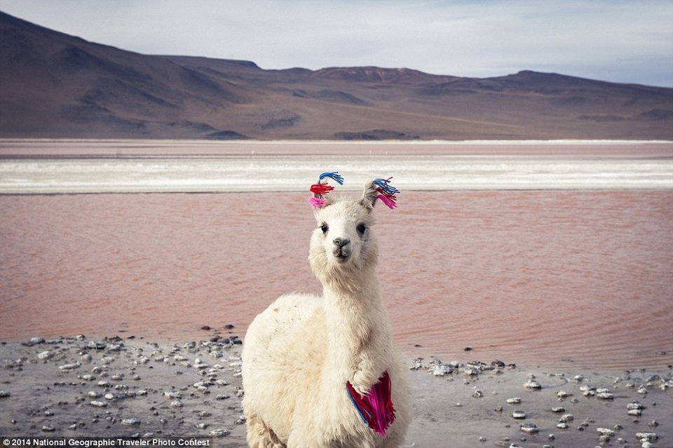 Οταν το National Geographic έχει κέφια -Συναρπαστικές φωτογραφίες από όλο τον κόσμο [εικόνες] | iefimerida.gr 7