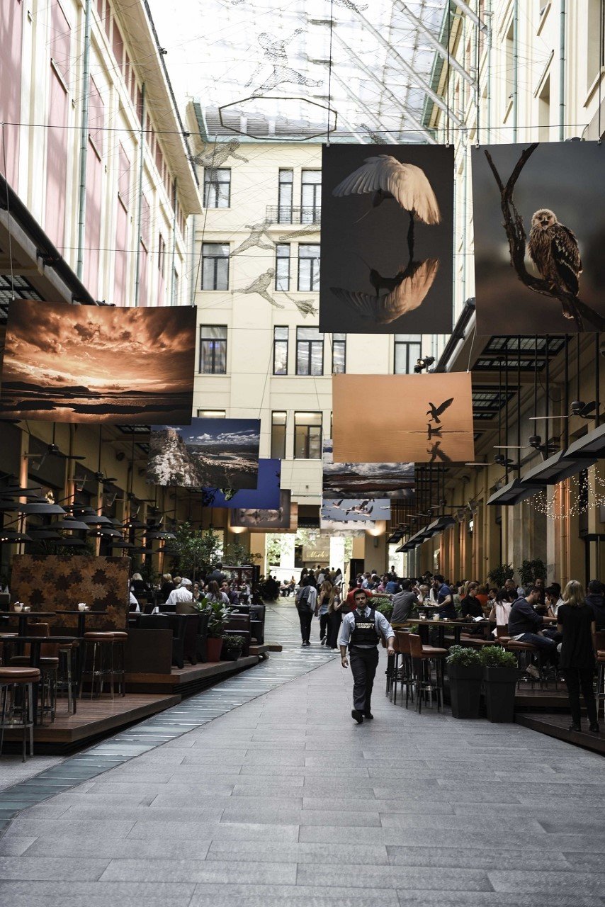 City Link: Εκθεση φωτογραφίας για τον φυσικό πλούτο της Μεσσήνης[εικόνες]  | iefimerida.gr 2