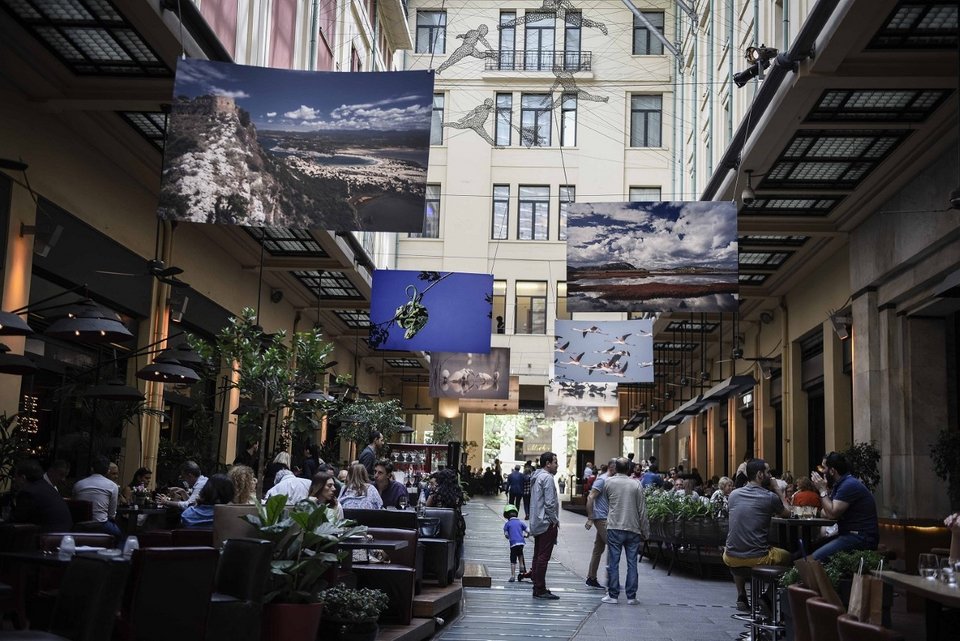 City Link: Εκθεση φωτογραφίας για τον φυσικό πλούτο της Μεσσήνης[εικόνες]  | iefimerida.gr 1