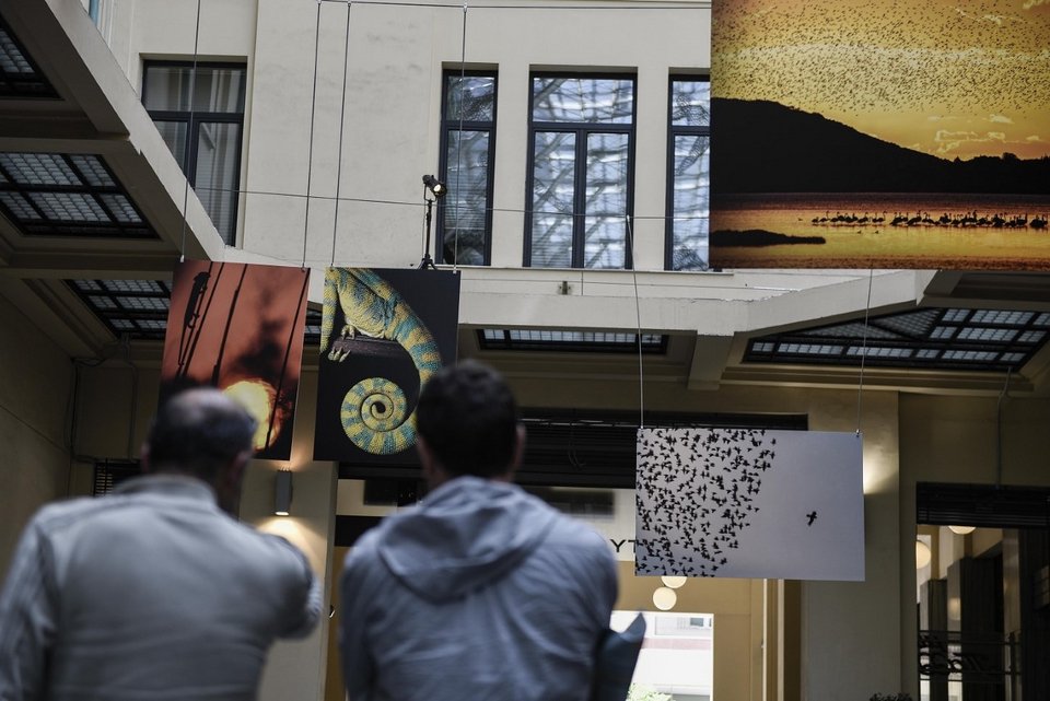 City Link: Εκθεση φωτογραφίας για τον φυσικό πλούτο της Μεσσήνης[εικόνες]  | iefimerida.gr 0