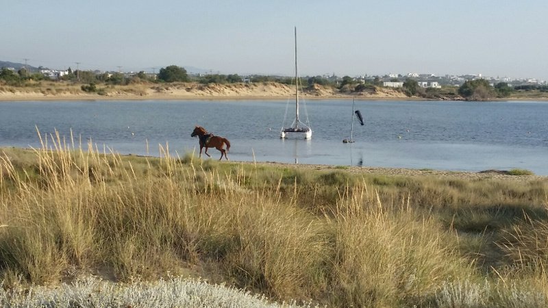 «Γέμισε» η Νάξος το τριήμερο -Eως και 80% οι προκρατήσεις για το καλοκαίρι [εικόνες] | iefimerida.gr 0