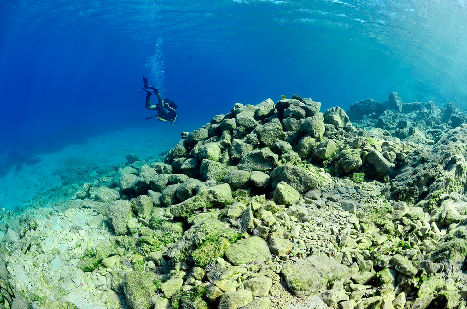 Υποβρύχιο τηλεκατευθυνόμενο όχημα βρίσκει αρχαιότητες στη Νάξο [εικόνες]   | iefimerida.gr 5