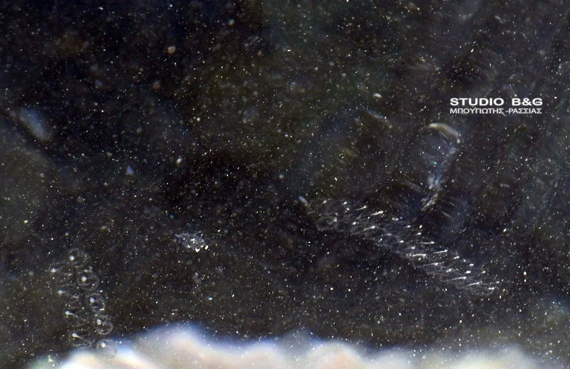 Ναύπλιο: Παραλία γέμισε από περίεργο υλικό που αναστάτωσε τους λουόμενους [εικόνες] | iefimerida.gr 1