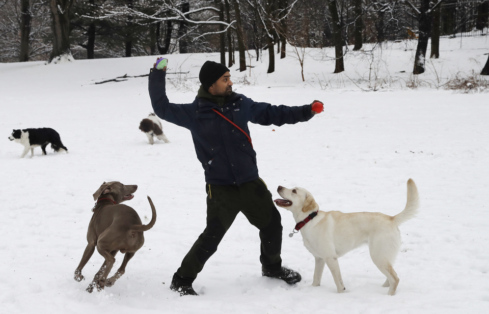 ΗΠΑ: Σφοδρή χιονοθύελλα στη Νέα Υόρκη - Εκλεισαν σχολεία [εικόνες] | iefimerida.gr 0