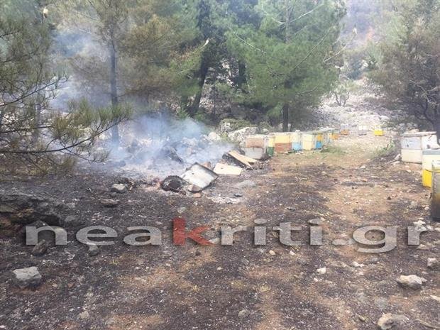 Μεγάλη φωτιά στην Ιεράπετρα απειλεί το δάσος -Αρνήθηκαν την συνδρομή ελικοπτέρου [εικόνες] | iefimerida.gr 1