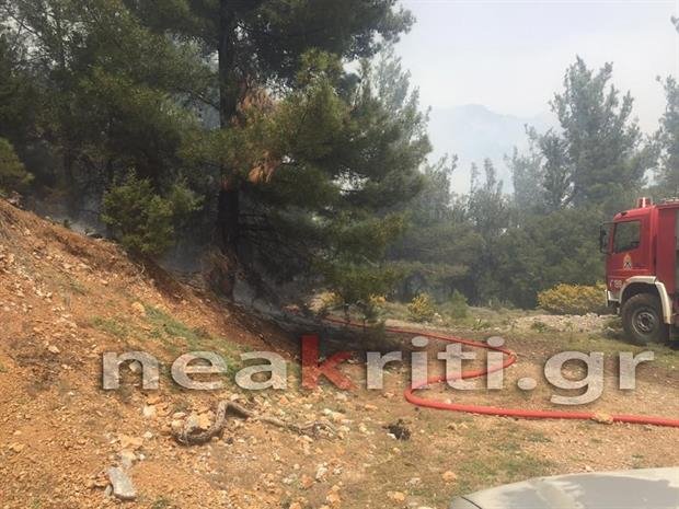 Μεγάλη φωτιά στην Ιεράπετρα απειλεί το δάσος -Αρνήθηκαν την συνδρομή ελικοπτέρου [εικόνες] | iefimerida.gr 0