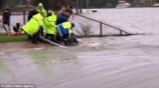 Tυφώνας Χάρβεϊ: Παιδί παλεύει να μην παρασυρθεί από την πλημμύρα στο Χιούστον [βίντεο] | iefimerida.gr 2
