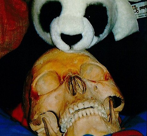 Σοκαριστικές φωτογραφίες από το σπίτι της 37χρονης που κατηγορείται για νεκροφιλία [εικόνες] | iefimerida.gr 0