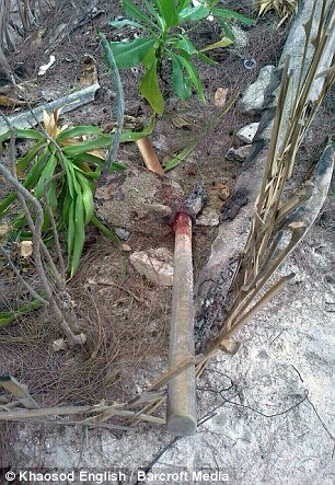 Τρόμος σε διάσημη παραλία της Ταϊλάνδης: Δολοφόνησαν με τσάπα νεαρό ζευγάρι Βρετανών -Νωρίτερα είχαν βιάσει την κοπέλα [εικόνες] | iefimerida.gr 3