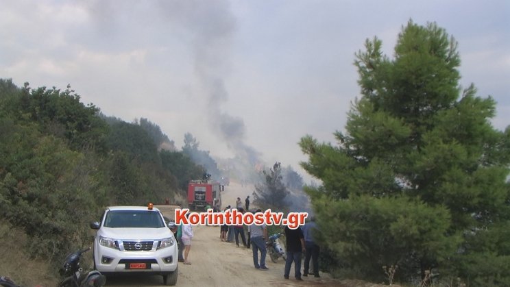 Φωτιά στις Αρχαίες Κλεωνές στην Νεμέα -Καίγονται αμπέλια και ελιές [εικόνες & βίντεο] | iefimerida.gr 0