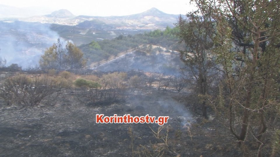 Φωτιά στις Αρχαίες Κλεωνές στην Νεμέα -Καίγονται αμπέλια και ελιές [εικόνες & βίντεο] | iefimerida.gr 2