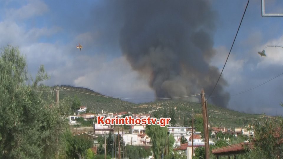 Φωτιά στις Αρχαίες Κλεωνές στην Νεμέα -Καίγονται αμπέλια και ελιές [εικόνες & βίντεο] | iefimerida.gr 5