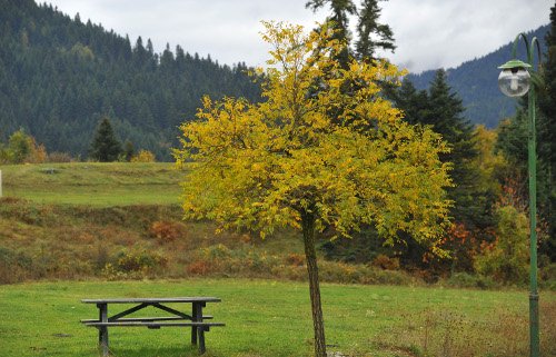 Νεραϊδοχώρι Τρικάλων: Σαν φθινοπωρινό σκηνικό βγαλμένο από παραμύθι άλλης εποχής [εικόνες] | iefimerida.gr 3