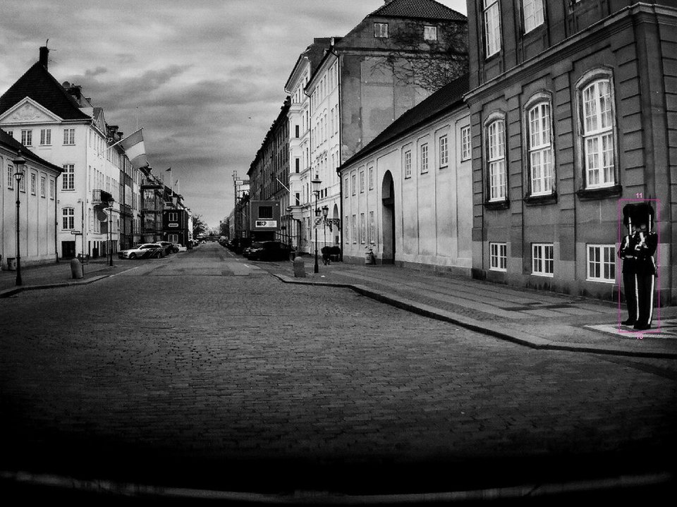 Το νέο Volvo XC60 γίνεται κάμερα στα χέρια φωτογράφου βραβευμένης με Πούλιτζερ | iefimerida.gr 1