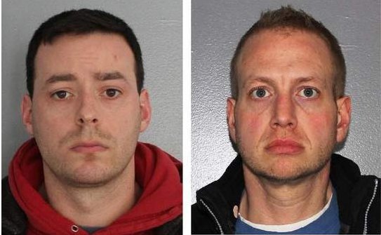 Αγρότης έπιασε επ' αυτοφόρω δυο άντρες να ερωτοτροπούν με τις αγελάδες του -Τα ζώα έπαψαν να παράγουν γάλα [εικόνα] | iefimerida.gr 0