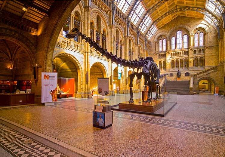 Οι 10 καλύτερες δωρεάν ταξιδιωτικές εμπειρίες -Γεύμα στην Ινδία, κρουαζιέρα στη Νέα Υόρκη [εικόνες] | iefimerida.gr 0