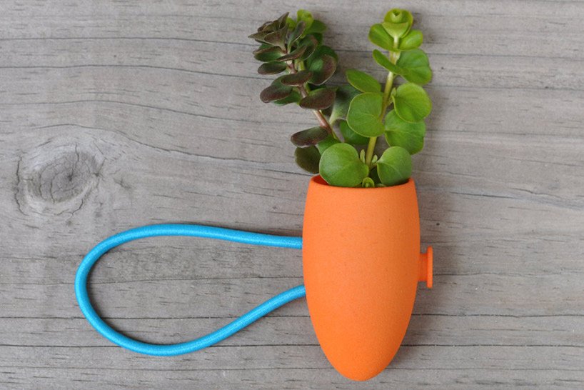 Κοσμήματα με αληθινά λουλούδια κατασκευάζει 26χρονη στην Ατλάντα [εικόνες] | iefimerida.gr 3