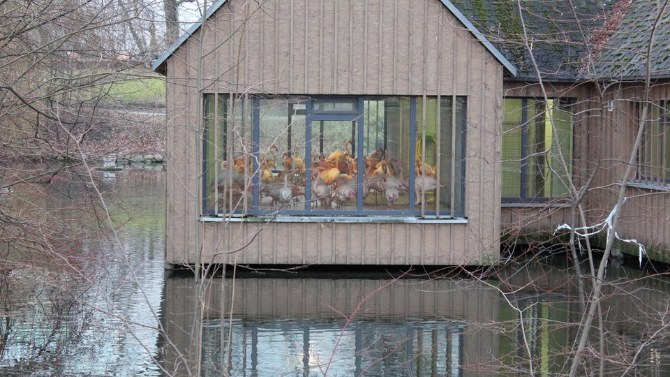 Το έργο που μας εκπροσωπεί στη 18η Biennale για Νέους Καλλιτέχνες της Ευρώπης [εικόνα] | iefimerida.gr 0