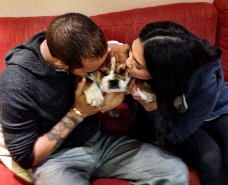 Το μπουλντόγκ του Χάμιλτον έκλεψε την παράσταση στα βραβεία [εικόνες & βίντεο] | iefimerida.gr 2