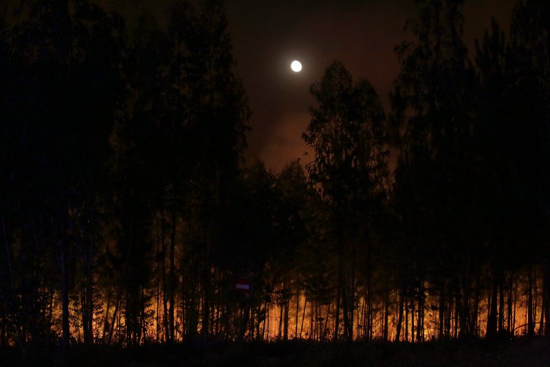 Σε πύρινο κλοιό και πάλι η Πορτογαλία καθώς επιστρέφουν οι υψηλές θερμοκρασίες [εικόνες]  | iefimerida.gr 2