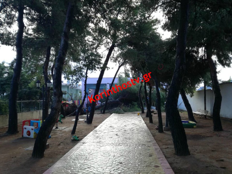 Το δέντρο έπεσε εκεί που παίζουν τα παιδιά