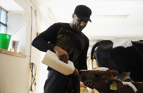 Γοργόνα, ένα νησί επίγειος παράδεισος της Μεσογείου που δεν θέλει κανείς ούτε καν να το επισκεφθεί -Τι συμβαίνει εκεί  [εικόνες] | iefimerida.gr 4