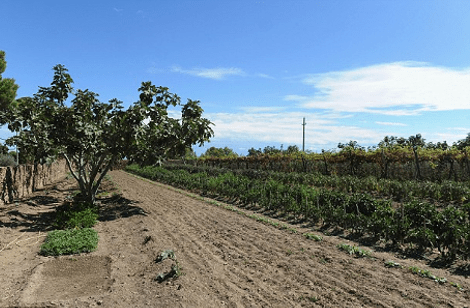 Γοργόνα, ένα νησί επίγειος παράδεισος της Μεσογείου που δεν θέλει κανείς ούτε καν να το επισκεφθεί -Τι συμβαίνει εκεί  [εικόνες] | iefimerida.gr 7