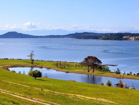 Νησί μόνο για εκατομμυριούχους: Πωλητήριο 57 εκατ. ευρώ σε επίγειο παράδεισο γεμάτο πολυτέλειες [εικόνες] | iefimerida.gr 5