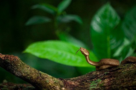Το πανέμορφο νησί με τους θανατηφόρους κινδύνους που είναι απαγορευμένο για τους ανθρώπους [εικόνες] | iefimerida.gr 4