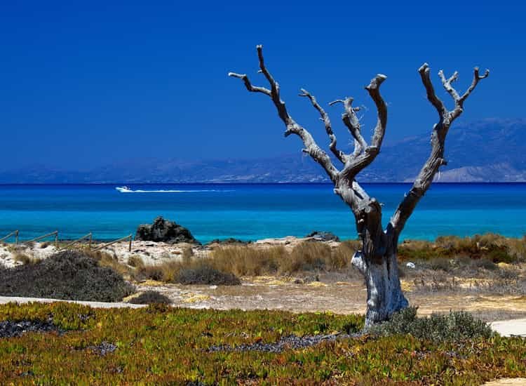 Κεφαλονιά, Κως και Χρυσή ανάμεσα στα ομορφότερα κρυμμένα νησιά της Μεσογείου [εικόνες] | iefimerida.gr 2