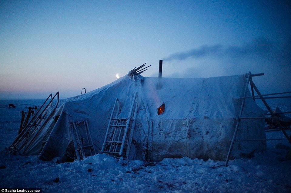Είδαν τον εαυτό τους σε φωτογραφία για πρώτη φορά – Η απομακρυσμένη νομαδική φυλή της Ρωσίας σε μια συγκινητική στιγμή [εικόνες] | iefimerida.gr 14