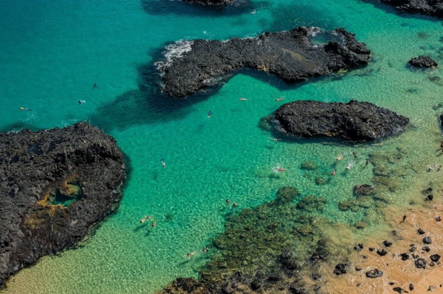 Αυτό είναι το μοναδικό νησί στον κόσμο όπου υπάρχει όριο επισκεπτών -Μοιάζει με τον Παράδεισο όσο κανένα άλλο [εικόνες] | iefimerida.gr 2