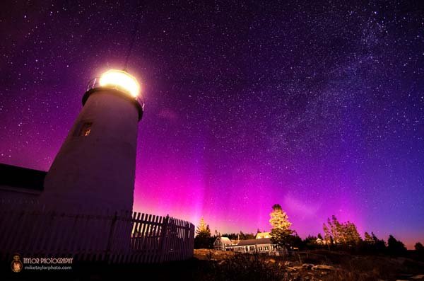 Ο 40χρονος που μόλις τράβηξε αυτές τις φωτογραφίες, παραιτήθηκε για να ασχοληθεί με το πάθος του [εικόνες] | iefimerida.gr 0