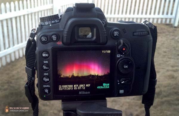 Ο 40χρονος που μόλις τράβηξε αυτές τις φωτογραφίες, παραιτήθηκε για να ασχοληθεί με το πάθος του [εικόνες] | iefimerida.gr 3