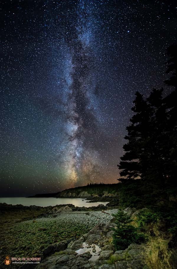 Ο 40χρονος που μόλις τράβηξε αυτές τις φωτογραφίες, παραιτήθηκε για να ασχοληθεί με το πάθος του [εικόνες] | iefimerida.gr 4