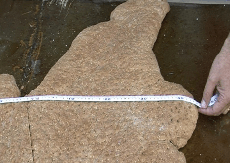 Ντάκο 8 μέτρων για ρεκόρ Γκίνες έφτιαξαν οι Χανιώτες [εικόνα] | iefimerida.gr 1